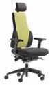 Apex Posture Back Care Chair with two-tone upholstery, headrest, black 4D arms and a black nylon base on castors AP1-A4