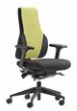 Apex Posture Back Care Chair with two-tone upholstery, black 4D arms and a black nylon base on castors AP2-A4