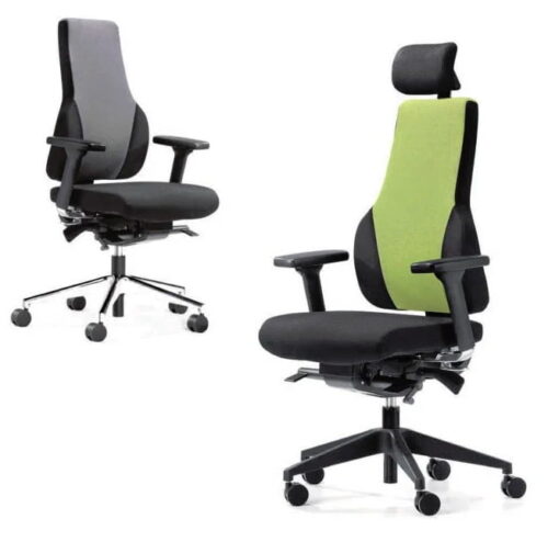 Apex Posture Back Care Chair two chairs one with and one without headrest, both in two tone fabric