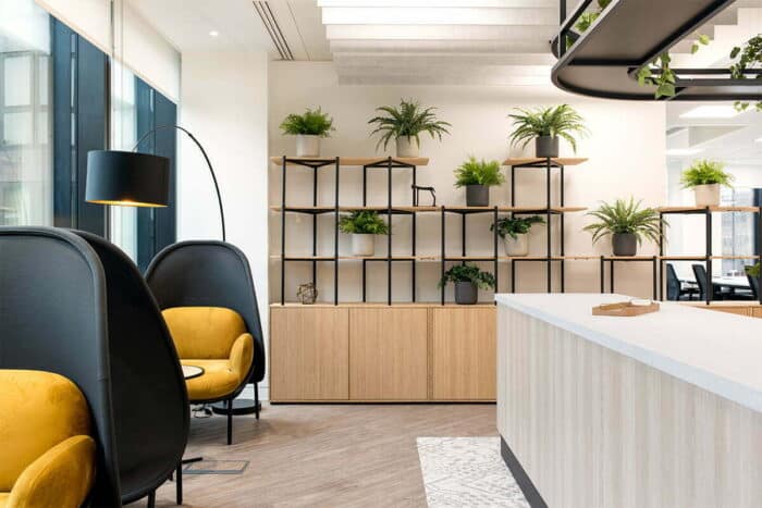 Bamboo Shelving With Plants In Office