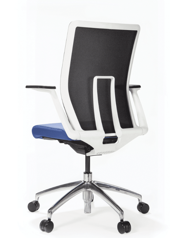 Co. Meshback Task Chair rear view