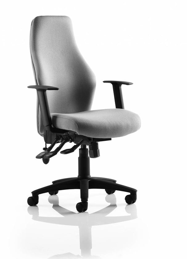 Flexion Task Chair with adjutastable arms and black base on castors FX1