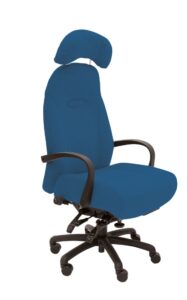G+1 Grande Back Care Chair