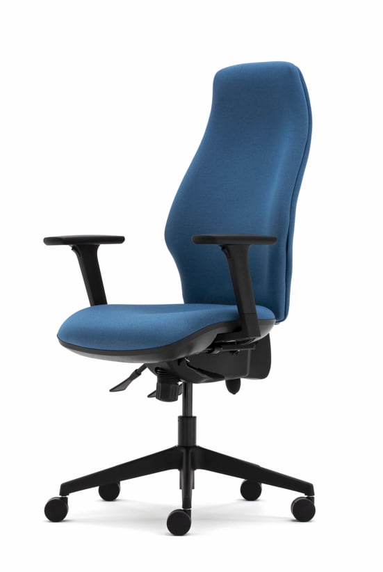 Orthopaedica 300 Series Back Care Chair profile view of chair with height adjustable arms and black base