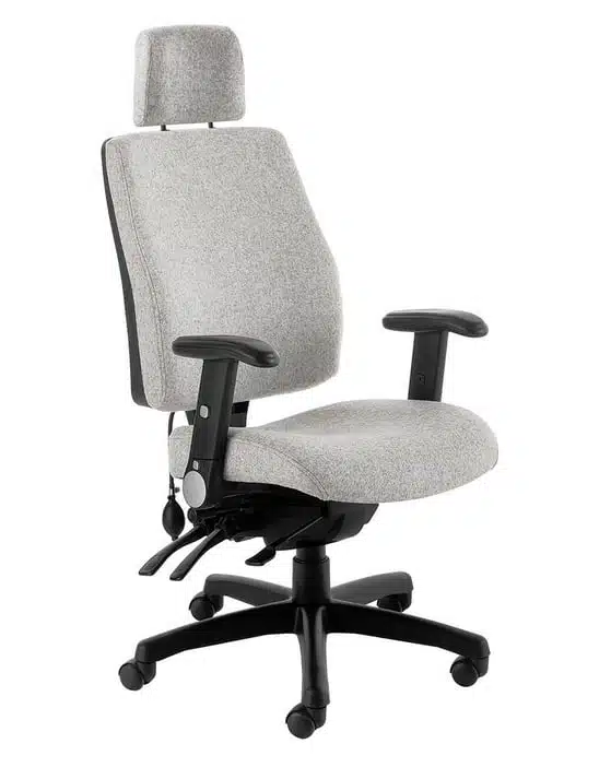 Performance Posture Task Chair, with headrest, AAG adjustable arms, inflatable lumbar, seat slide and black nylon 5 star base PH1 AAG