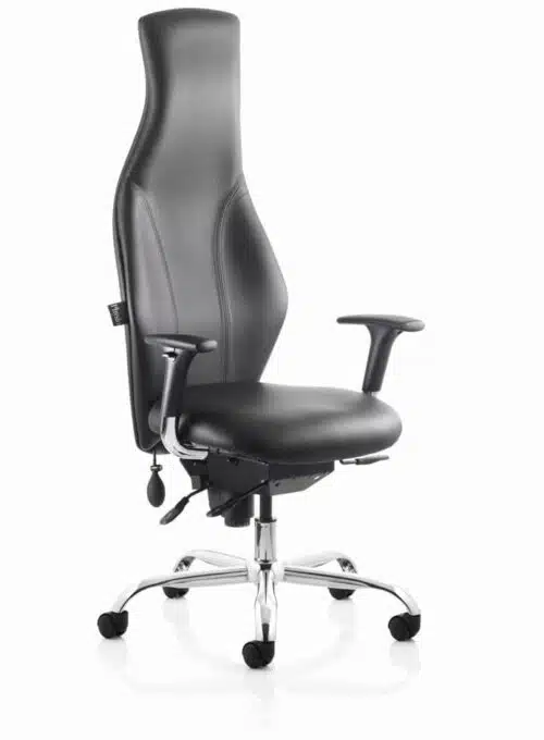 Physio Chair with high back with tilt or synchro mechanism, 5 star base on castors and choice of arms