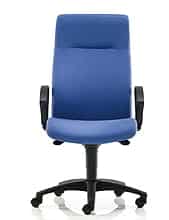 Pro-Activ Task Chair high back with fixed arms and black nylon base on castors PA12SYB