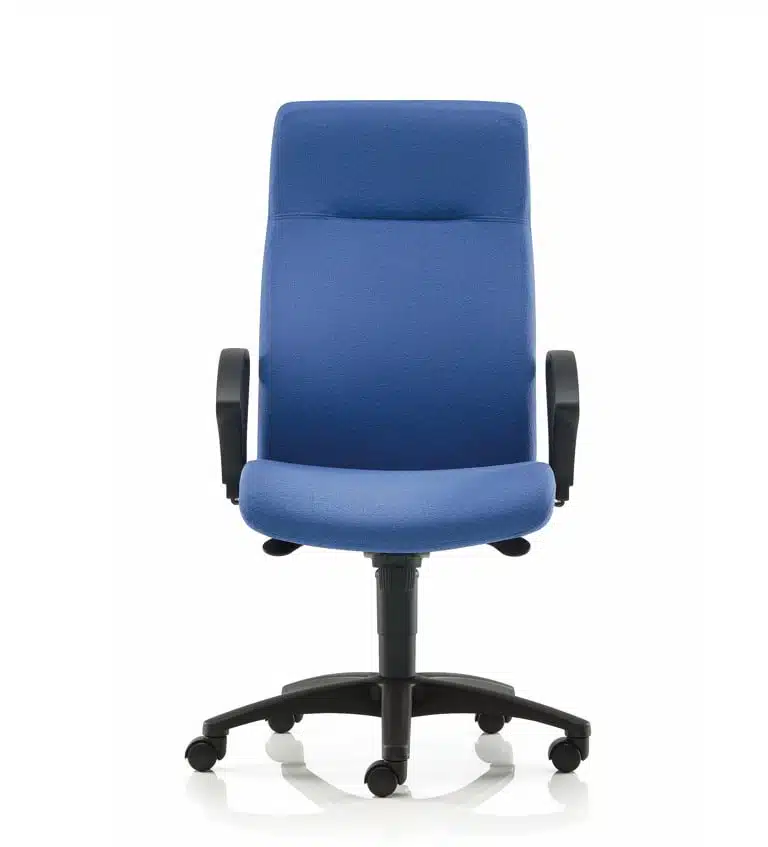 Pro-Activ Task Chair high back with fixed arms, synchro mechanism, side tension adjustment, double curvature back, seat and back height adjusment, black nylon base on castors