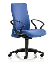 Pro-Activ Task Chair medium back with fixed arms and black nylon base on castors PA06SYB