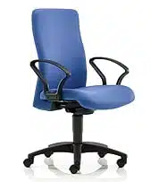Pro-Activ Task Chair medium back with fixed arms and black nylon base on castors PA06SYB