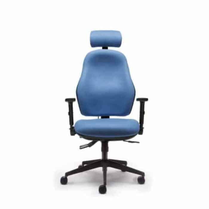 Orthopaedica 100 Series Back Care Chair With Arms And Headrest