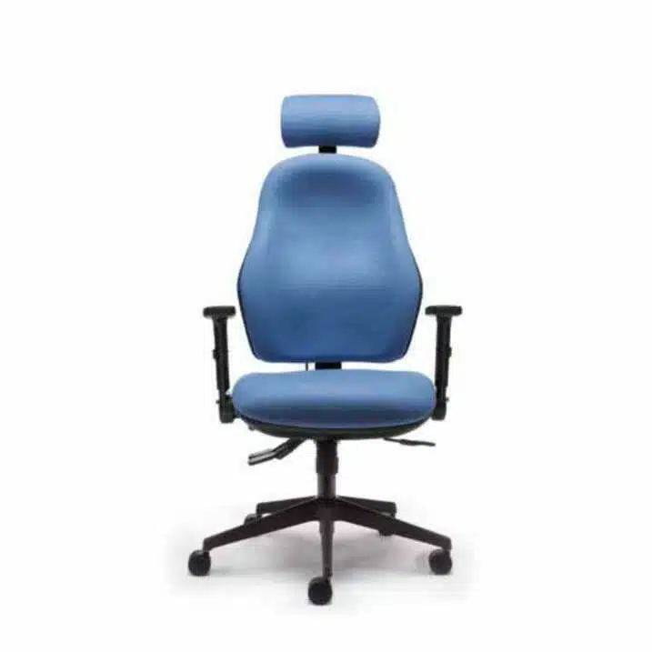 Orthopaedica 100 Series Back Care Chair With Arms And Headrest