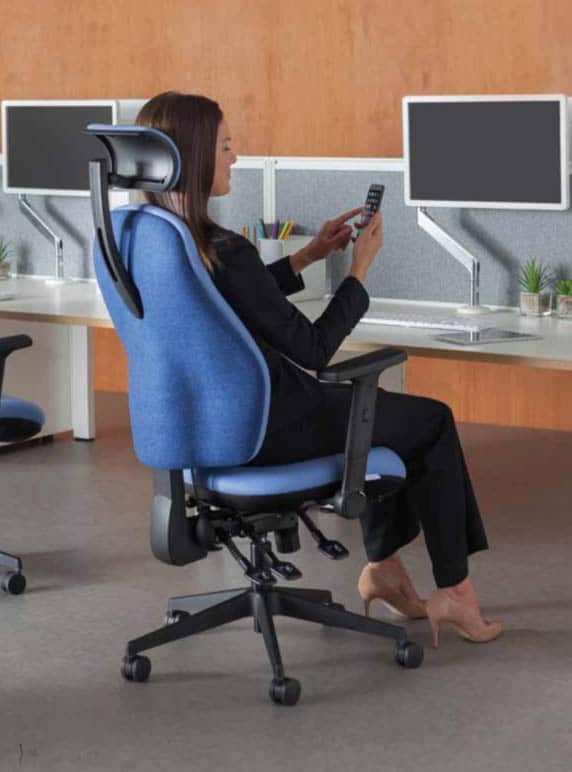 Orthopaedica 100 Series Back Care Chair Rear View Showing Upholstered Outer Shell