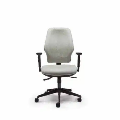 Orthopaedica 200 Series Back Care Chair With Arms